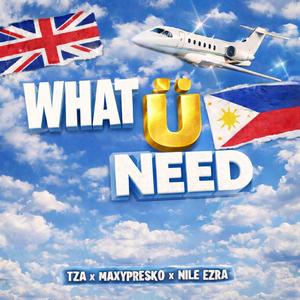 What Ü Need