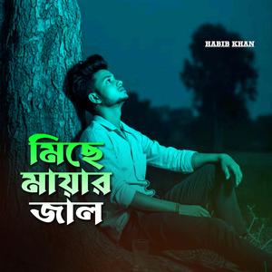 মিছে মায়ার জাল