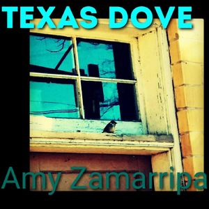 Texas Dove