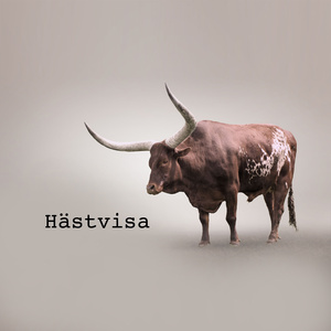 Hästvisa (Tyglad)