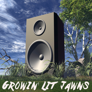 Took Her To The O (Instrumental)