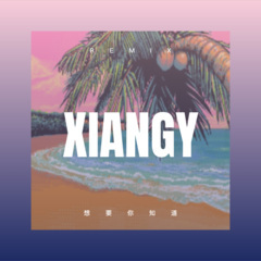 再敬往事一杯酒 (Remix)