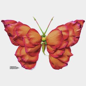 Right Not Wrong (feat. Lil Playah)