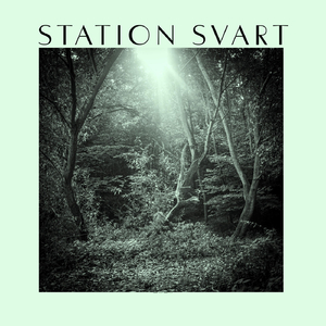 Ljuga för sanningens skull