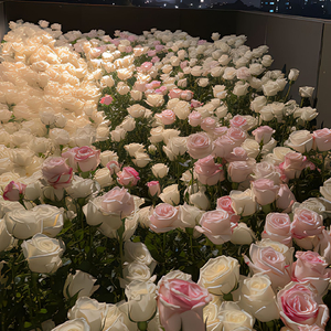 爱的坦白（抖音版）