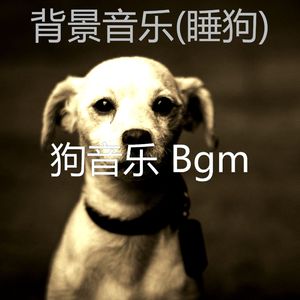 睡觉的小狗-音乐
