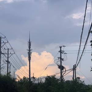 张宇桦-我在去年夏天给你写了一封信