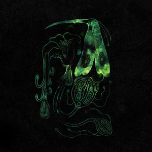 La cerimonia delle ceneri