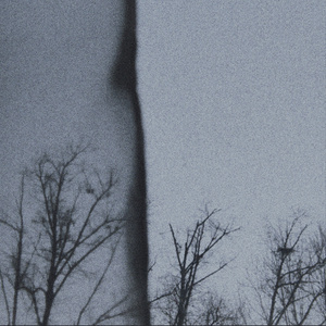 Серые Кроны