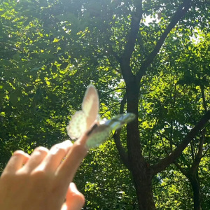 等风也等你