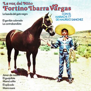 El aplicado