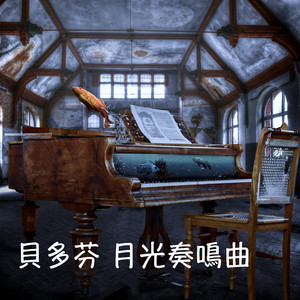 贝多芬 C♯小调第14号钢琴奏鸣曲 月光奏鸣曲 第二乐章