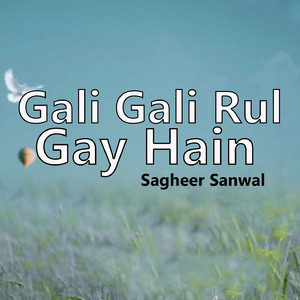 Gali Gali Rul Gay Hain