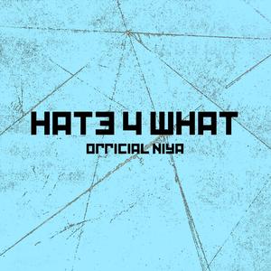 Hate 4 What