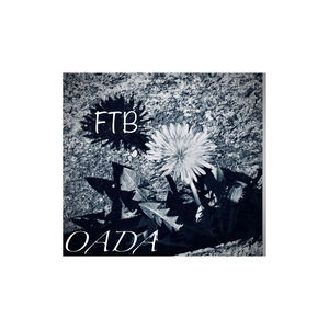 Ftb