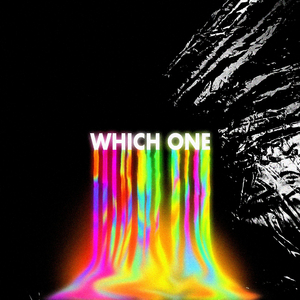 WHICH ONE