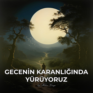 Gecenin Karanlığında Yürüyoruz