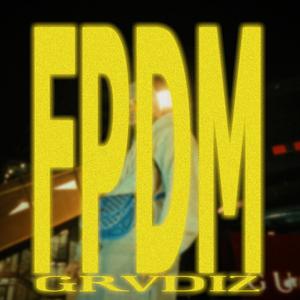FPDM