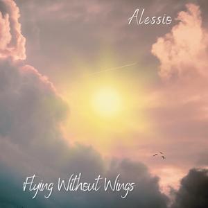 Flying Without Wings