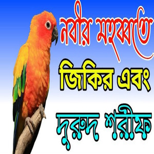 প্রতিদিন নতুন জিকির দুরু শরীফ