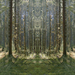 Inflorirea De Lumini (feat. Maria Hojda)