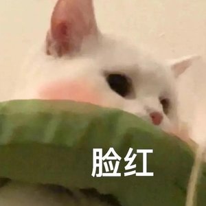 可能（翻自：曾雪雅）