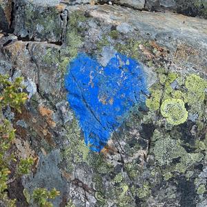 Wind-wrapped-promises