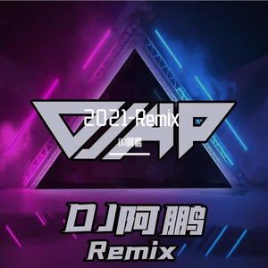 虎二-窗（DJ阿鹏 remix）