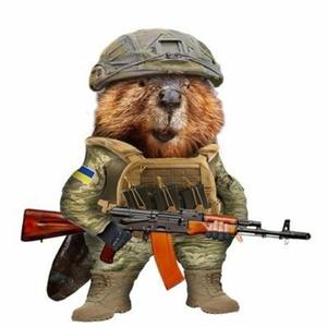 Too Many Kicks Bober