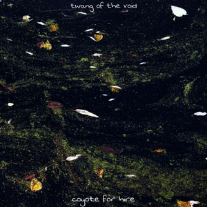 Fence of Despair and Joy