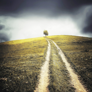 마음을 차분하게 하는 음악