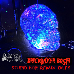 Stupid Boy (Melting Blood Remix) by Doktor Zayus
