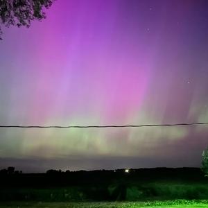 ring ring! oh no! (2020) (feat. B00)