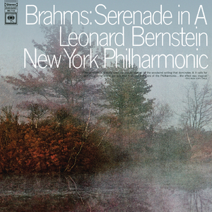 Serenade No. 2 in A Major for Small Orchestra, Op. 16:V. Rondo. Allegro