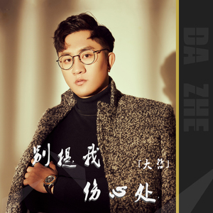 别提我伤心处 (伴奏)