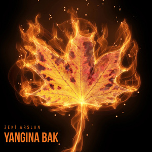 Yangına Bak