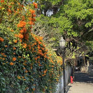 夏天就是不停地下雨 伴奏.wav