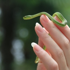 掐死你的温柔 (原唱：蔡琴)