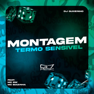 Montagem Termo Sensivel