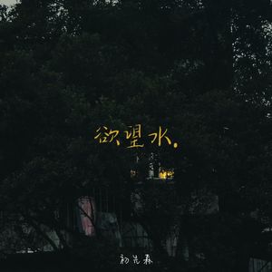 欲望水