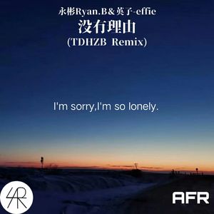 没有理由(TDHZB Remix)