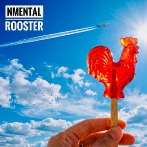 Rooster