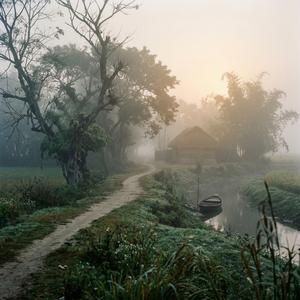 কুয়াশার গান