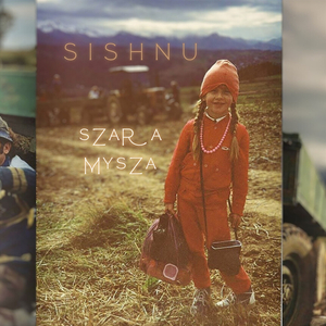 szara mysza
