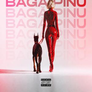 BAGĂ PINU