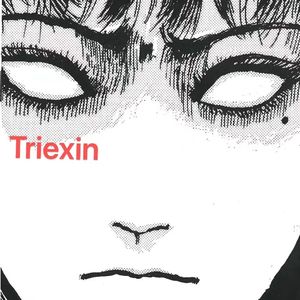 Purple Lamborghini vs Trust Nobody-Triexin mashup