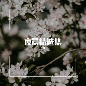 风吹麦浪（cover叶一茜）