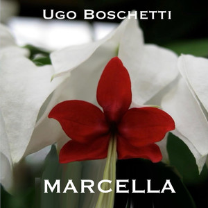 MARCELLA