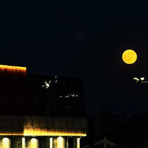 十二月的晴空与你