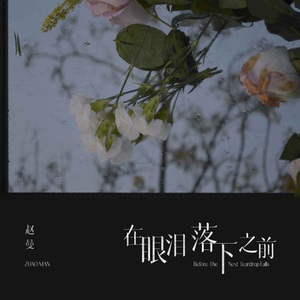 在眼泪落下之前 (DJ九零版)